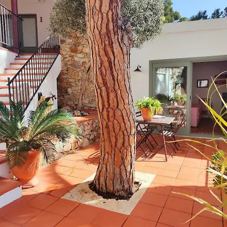 T2 - Sunny Duplex With Garden 50m From Tamariu