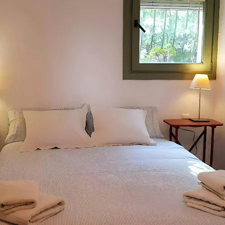 T2 - Sunny Duplex With Garden 50m From Apartment *