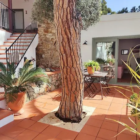 T2 - Sunny Duplex With Garden 50m From Apartment *