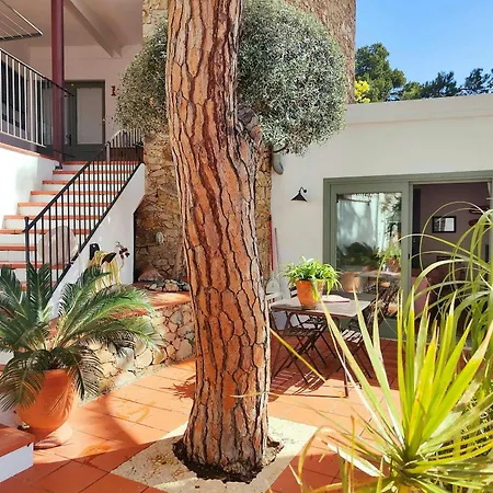 T2 - Sunny Duplex With Garden 50m From Apartment Tamariu