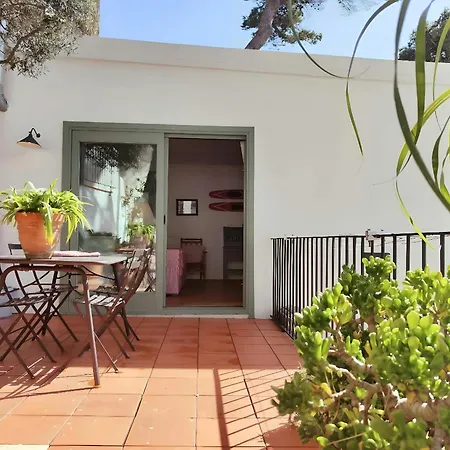 Apartment T2 - Sunny Duplex With Garden 50m From *