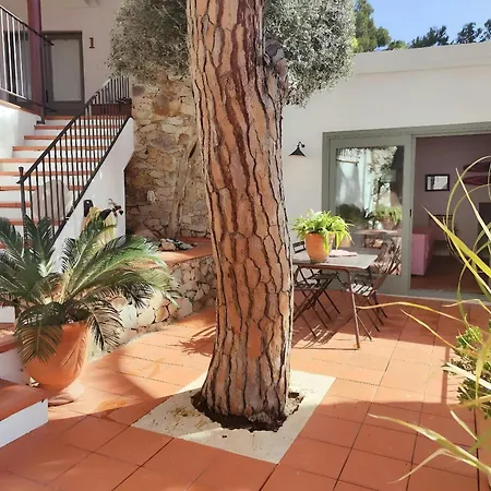 T2 - Sunny Duplex With Garden 50m From