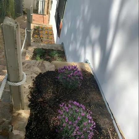 Apartment T2 - Sunny Duplex With Garden 50m From Tamariu