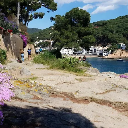 Apartmentstamariu: Duplex With Garden 50M To Beach * Tamariu