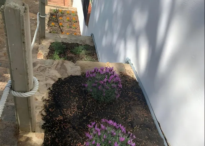 Apartmentstamariu2 - Duplex Wgarden 50M To Beach Apartmán *