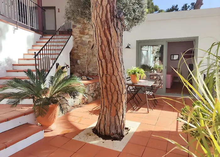 Apartmentstamariu: Duplex With Garden 50M To Beach Casa de Férias Tamariu