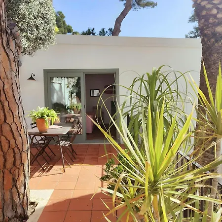 Apartamento T2 - Sunny Duplex With Garden 50m From